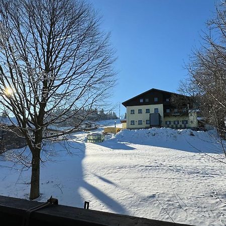 Mitterdorf Almberg X29 Apartment Mitterfirmiansreut Luaran gambar