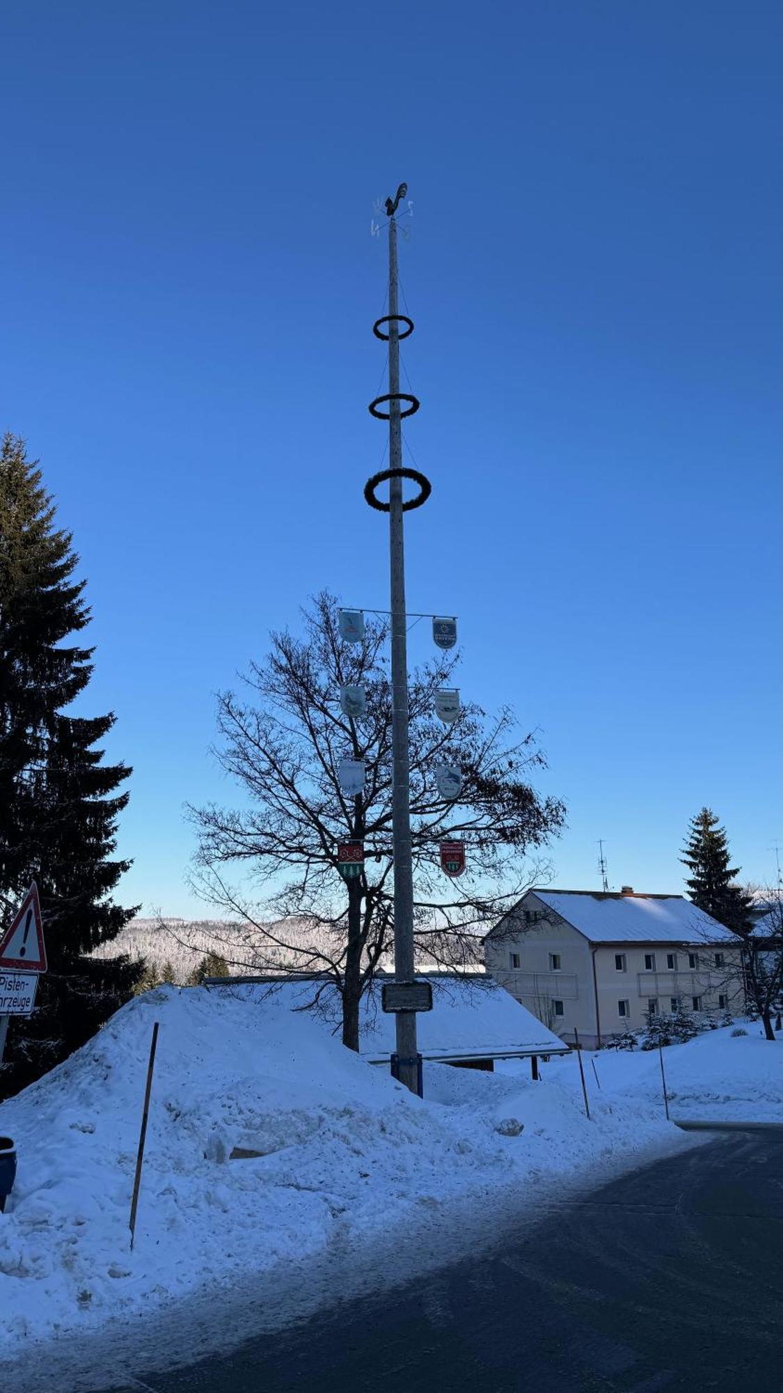Mitterdorf Almberg X29 Apartment Mitterfirmiansreut Luaran gambar