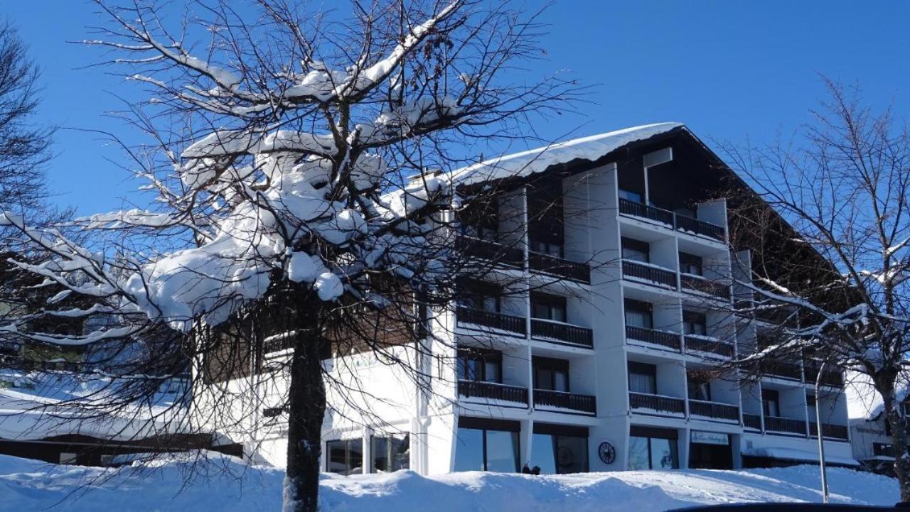 Mitterdorf Almberg X29 Apartment Mitterfirmiansreut Luaran gambar